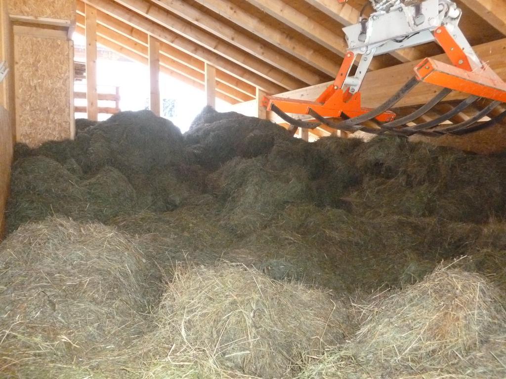 Ferienwohnung Ferienhaus Larch Soge Ratschings Exterior foto